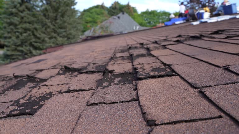 Best Commercial Roofing Services  in Mukilteo, WA