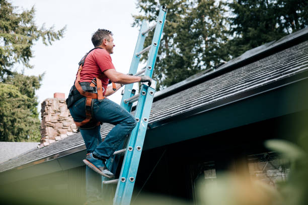 Best Green or Eco-Friendly Roofing Solutions  in Mukilteo, WA