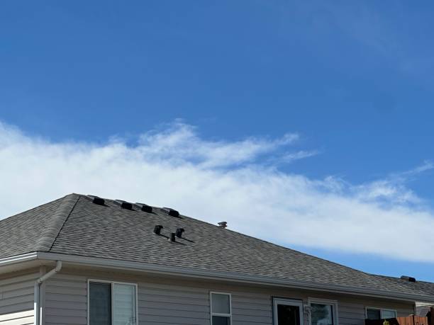Best Metal Roofing Installation  in Mukilteo, WA